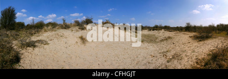 Vista sulle dune nei Paesi Bassi vicino alla città di De Zilk Foto Stock