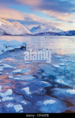 Looking across the frozen sea of Ullsfjord from Sjursnes, towards the Southern Lyngen Alps, at sunset, Troms, Norway, Europe Foto Stock