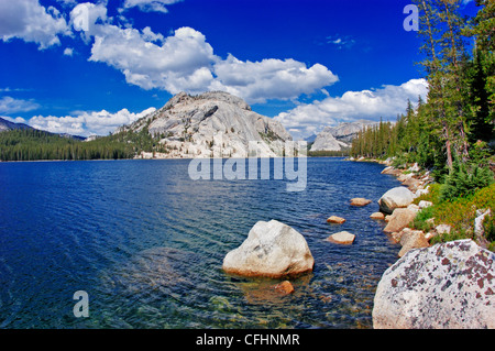 Maestosa cupola piacere dalla riva del Lago Tenaya, prati Tuolumne area, il Parco Nazionale Yosemite in California Foto Stock