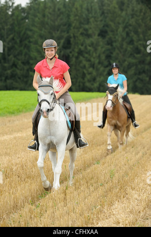 Due giovani pilota sul suo pony al galoppo in un campo di stoppie Foto Stock