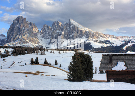 Il monte Sassolungo / Sassolungo, Alpe di Siusi / Alpe di Siusi Alto Adige - Italia Foto Stock