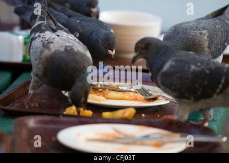 Lavaggio i piccioni viaggiatori su piastre di residui di cibo in un ristorante esterno cafe tabella Foto Stock