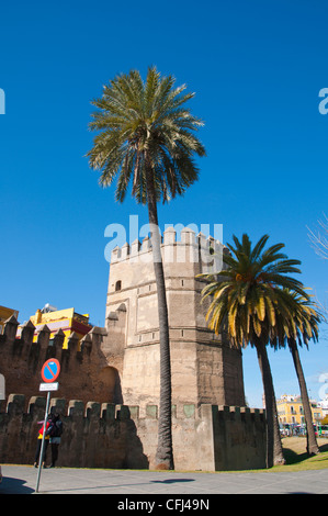 Murallas parete La Macarena district Siviglia Andalusia Spagna Foto Stock