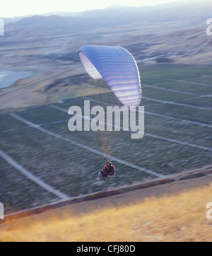 Parapendio. Foto Stock