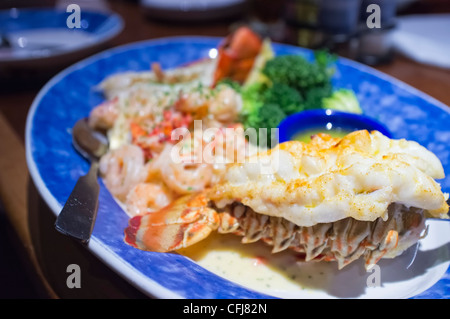 Piatto di frutti di mare con aragosta e gamberetti Foto Stock