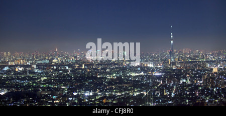 Vew di Tokyo di notte con Sky Tree Foto Stock