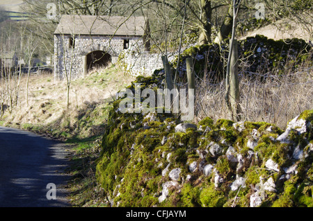 Un piccolo fienile e parete ricoperta di moss nei Dales Foto Stock