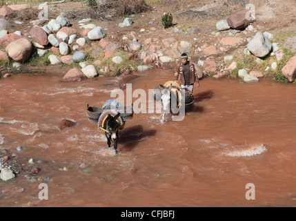 La gente del posto di lavoro la Vallee d'ourika nelle montagne Atlas in Marocco Foto Stock