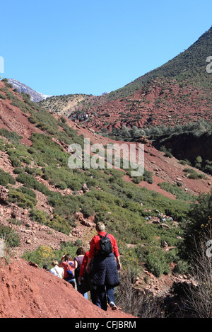 Una vacanza a piedi in la Vallee d'ourika, nelle montagne Atlas in Marocco, Africa del Nord Foto Stock