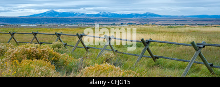 Buck e cancellata, con praterie di Warner Zone Umide Area di fondamentale interesse ambientale e Hart Lago, Hart Mountain Road, peluche Oregon USA Foto Stock