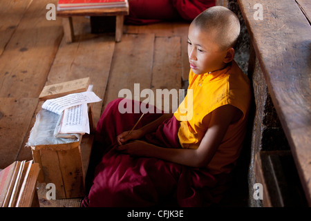 Giovane monaco buddista studiando gli script in classe a Chimi Lhakhang tempio, Punakha Valley, Bhutan, Asia Foto Stock