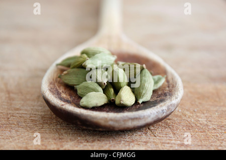 Cardamomo Foto Stock