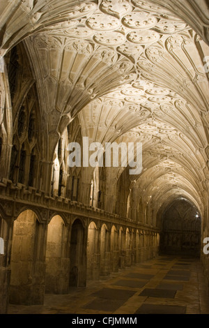 Chiostri con ventilatore soffitto a volta nella cattedrale di Gloucester Foto Stock