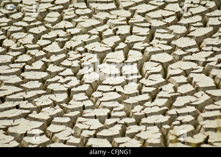 Asciugare pesante massa rotto a seguito della siccità, riarse fango, il riscaldamento globale di avviso, effetto serra pericolo Foto Stock