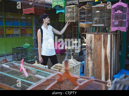 Donna al mercato degli uccelli, Yogyakarta, Java, Indonesia, Asia sud-orientale, Asia Foto Stock