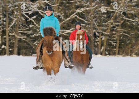 Due giovani piloti su cavalli islandesi nella neve Foto Stock