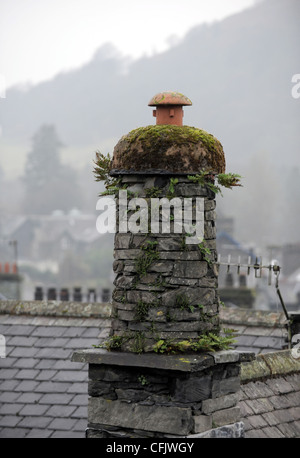 Coperte di muschio tetto in ardesia camini a Ambleside nel Lake District Cumbria Regno Unito Foto Stock