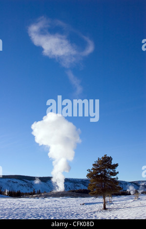 Geyser Old Faithful nubi di vapore su una chiara giornata invernale; il Parco Nazionale di Yellowstone, Wyoming negli Stati Uniti. Foto Stock