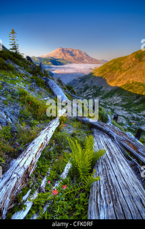 Mount Saint Helens e spirito lago dalla Norvegia Pass Trail; Mount Saint Helens National Volcanic Monument, Washington. Foto Stock