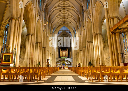 York Minster; uno dei la più ampia navata unica in Europa Foto Stock