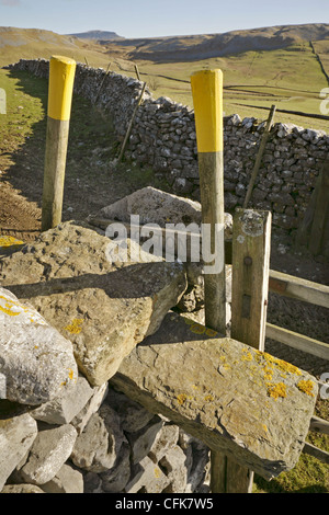 Vista dalla pietra in stile Crummackdale verso il vertice distanti di Pen-y-Ghent, Yorkshire Dales, Inghilterra. Foto Stock