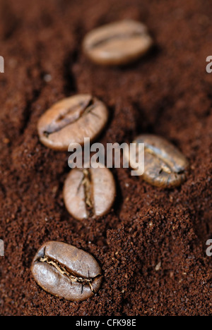Cinque i chicchi di caffè. Focus sulla parte inferiore sinistra bean. Foto Stock