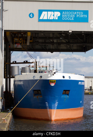 Associate i porti britannici   porti Docks e porti in Goole visita A B P (Goole), North Humberside, REGNO UNITO Foto Stock