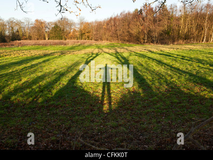 Ombra di una persona in piedi tra gli alberi in campagna REGNO UNITO Foto Stock