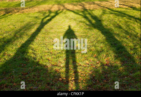 Ombra di una persona in piedi tra gli alberi in campagna REGNO UNITO Foto Stock