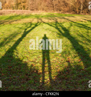 Ombra di una persona in piedi tra gli alberi in campagna REGNO UNITO Foto Stock