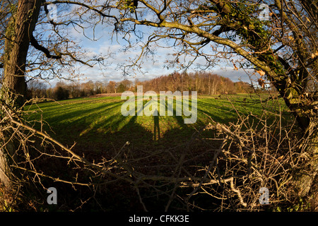 Un ombra di una persona in piedi tra gli alberi in campagna Foto Stock