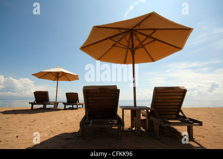 Vuoto sedie a sdraio e ombrelloni presso la spiaggia di Bali Foto Stock