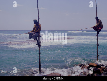 Sri Lanka Welligama Stilt pescatori Foto Stock