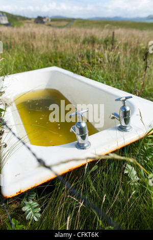 Una vecchia vasca da bagno viene riciclato per essere usato come un trogolo di acqua per gli animali della fattoria in un campo sulla barra nelle Ebridi Esterne in Scozia. Foto Stock