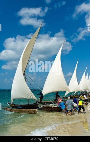 Inizio di una regata per 'Ngalawa', il tradizionale a doppia outrigger barche in Stone Town Zanzibar Tanzania Foto Stock
