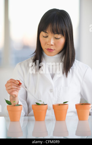 Stati Uniti d'America, New Jersey, Jersey City, scienziato liquido di gocciolamento in plantule Foto Stock