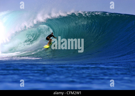 Navigare nella camera di una onda al G-Land o Grajagan Bay in Java Orientale, Indonesia. Foto Stock