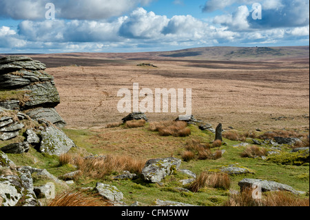 Dartmoor paesaggio mostrando grande Links Tor, maggiore Dunna acido di capra erba e viste Foto Stock