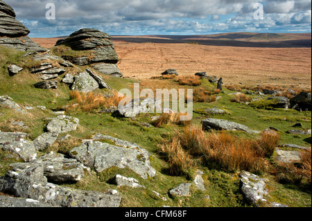 Dartmoor paesaggio mostrando grande Links Tor, maggiore Dunna acido di capra erba e viste Foto Stock