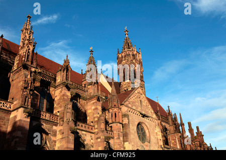 Freiburg Minster, Freiburg, Baden-Württemberg, Germania, Europa Foto Stock