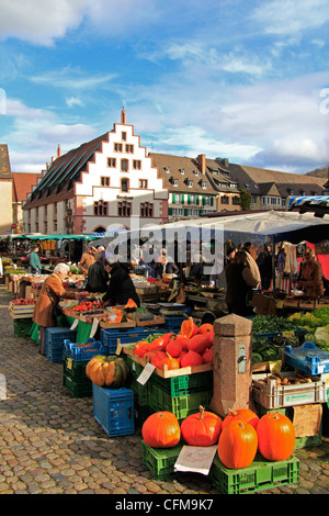 Mercato a Minster square (Munsterplatz), Friburgo, Baden-Württemberg, Germania, Europa Foto Stock