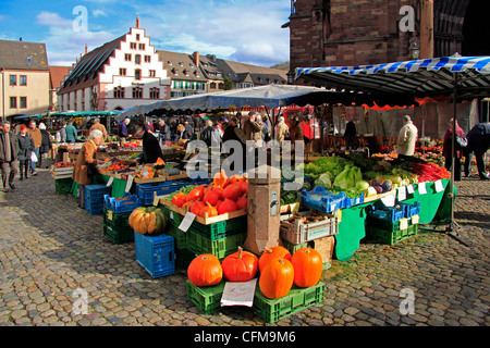 Mercato a Minster square (Munsterplatz), Friburgo, Baden-Württemberg, Germania, Europa Foto Stock