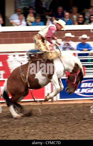 Calgary Stampede, Stampede Park di Calgary, Alberta, Canada, America del Nord Foto Stock