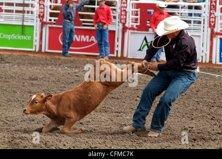 Calgary Stampede, Stampede Park di Calgary, Alberta, Canada, America del Nord Foto Stock