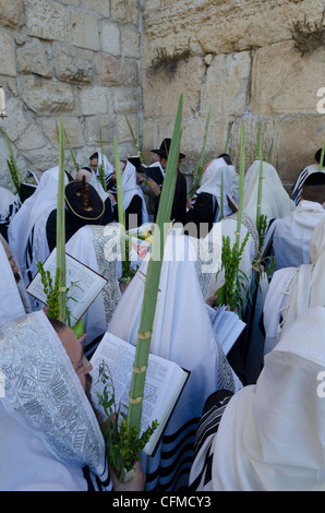 Sukkot celebrazioni con Lulav parete occidentale, la Città Vecchia di Gerusalemme, Israele, Medio Oriente Foto Stock