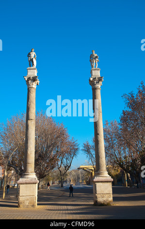 Alameda de Hercules square centrale di Siviglia Andalusia Spagna Foto Stock