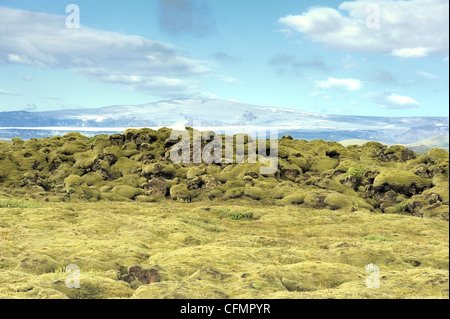 Campo di lava di Eldhraun, Islanda Foto Stock