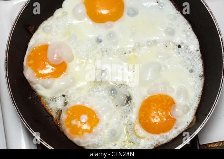 Pentola piena di le uova strapazzate in padella Foto Stock