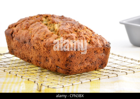 Freschi di forno pane alla banana raffreddamento sulla rastrelliera metallica nel formato orizzontale Foto Stock