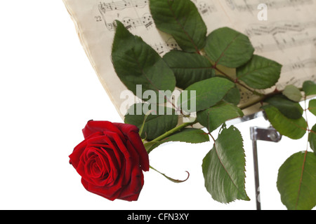 Rosa rossa e la vecchia nota note amare la musica di sfondo bianco Foto Stock
